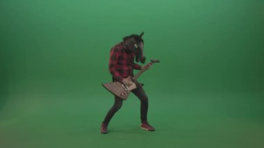  man in horse mask  playing  hard rock music with guitar isolated on green background