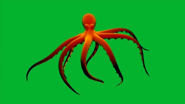 Animated Octopus Green Card — 图库视频影像