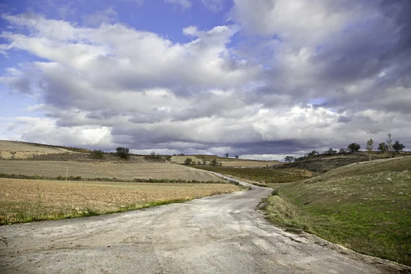 Camino rural — Foto de Stock