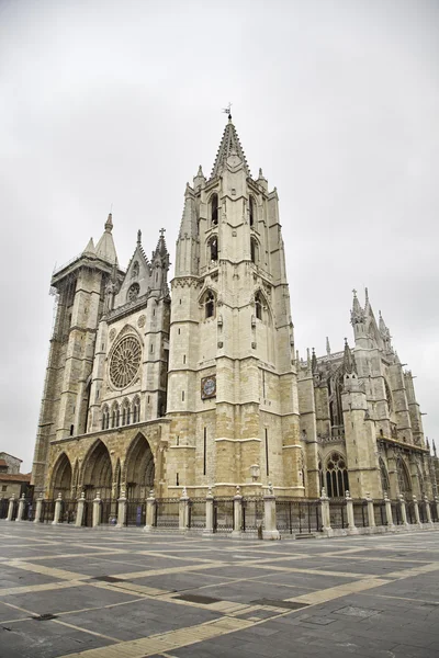 Katedralen i leon — Stockfoto