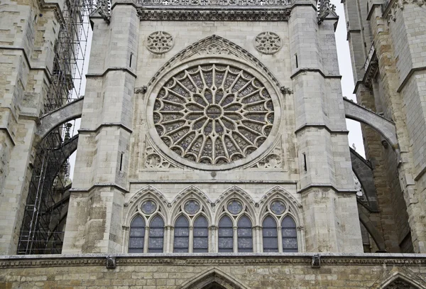 Cathédrale de Léon — Photo