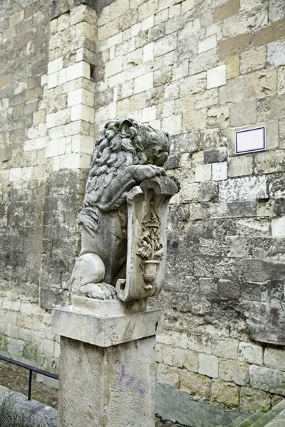 Gotischer Steinlöwe — Stockfoto