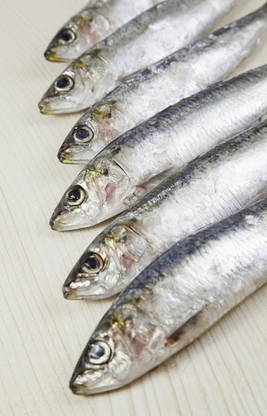 Heads raw sardines — Stock Photo, Image