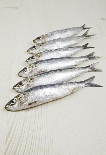 Grupp raw sardiner — Stockfoto