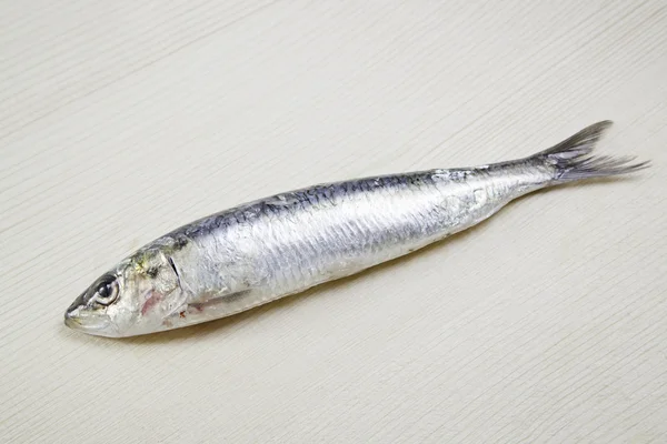 Čerstvé sardinky — Stock fotografie