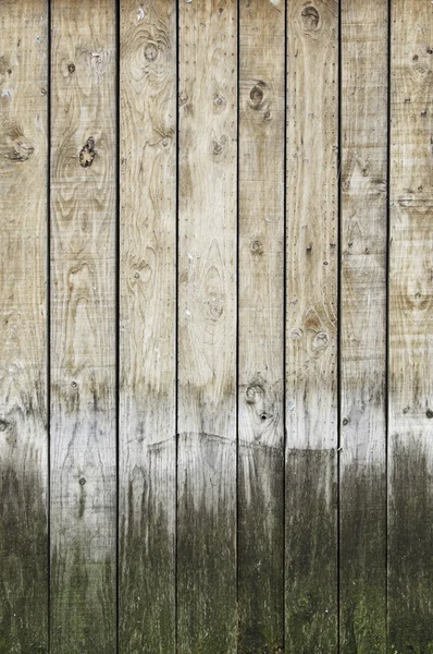 Hintergrund und verdorbenes morsches Holz — Stockfoto