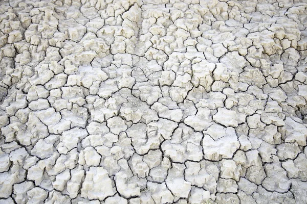 Floor drought — Stock Photo, Image