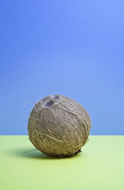 tropikal Hindistan cevizi kapalı