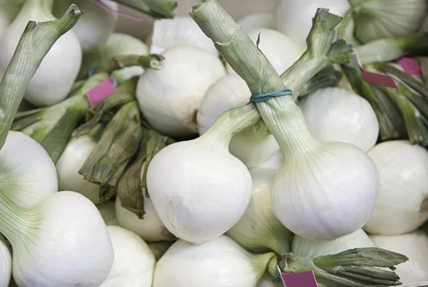 Cebollas en el mercado —  Fotos de Stock