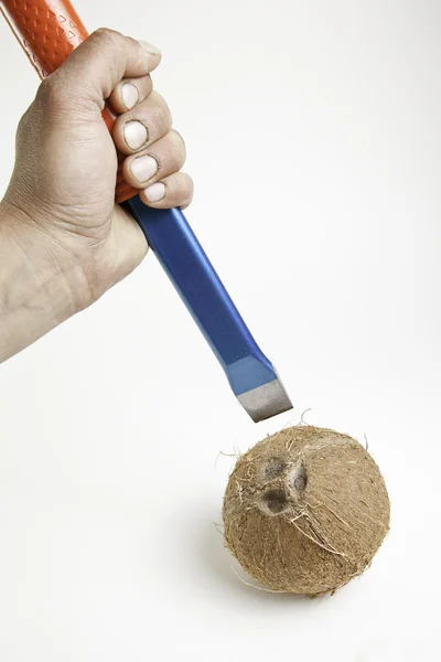 Abrindo um coco — Fotografia de Stock