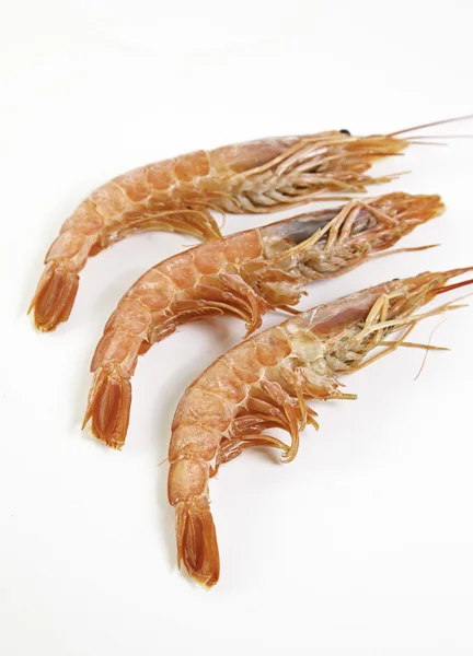 Crevettes fraîches — Photo