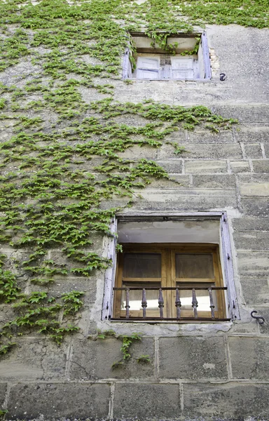 Fenêtre avec herbe rurale — Photo