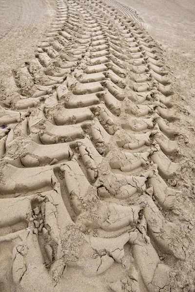 Segni Pneumatici Sulla Sabbia Della Spiaggia Segnaletica Del Veicolo — Foto Stock