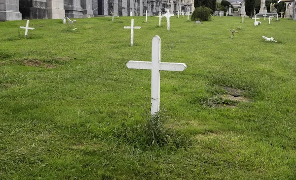 Détail Vieille Tombe Dans Cimetière Espagne Tradition Chrétienne — Photo