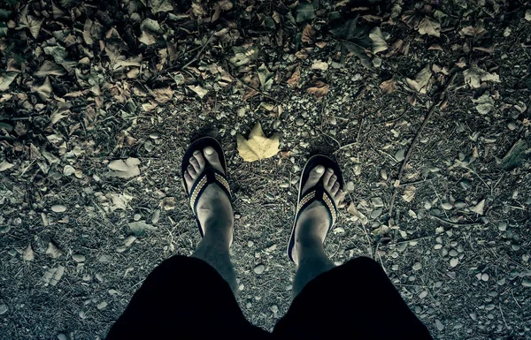 Деталь Прогулки Отдыха Природе Осень Осень Листьев — стоковое фото