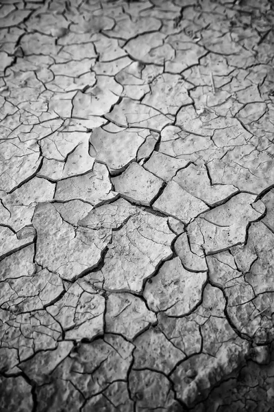 Detail Drought Destruction Nature — Stock Photo, Image