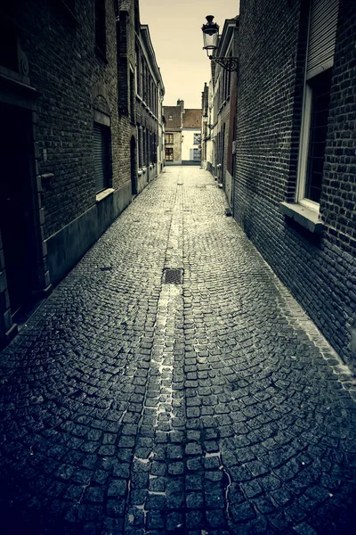 Amsterdam Alley Dutch City Street Tourism Europe — Stock Photo, Image