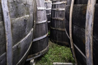 Alkollü içecekler, şarap kültürü, ulaşım ve korunma için eski konteynırların ayrıntıları