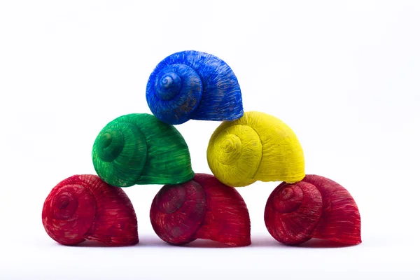 renkli deniz kabuklarını