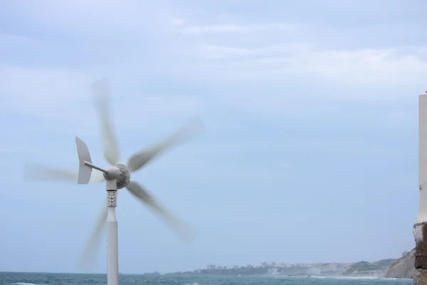 Helix na costa — Fotografia de Stock