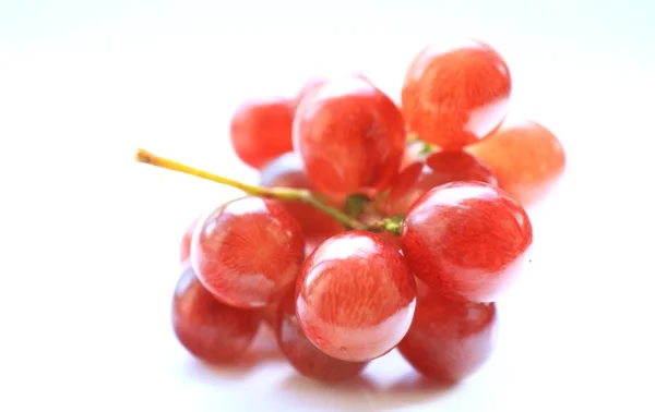 Uvas brillantes — Foto de Stock