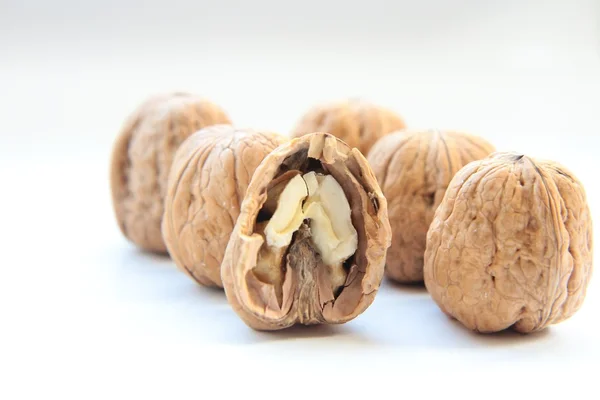 Skupina ořechů — Stock fotografie