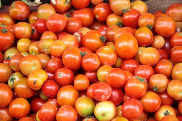 Tomatoes on stand — Stock Photo, Image