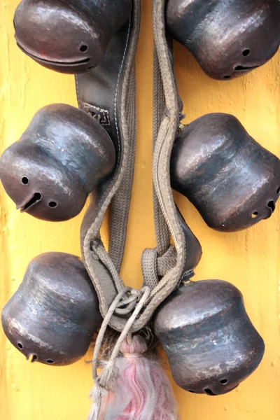 Duże kuliste dzwony — Zdjęcie stockowe