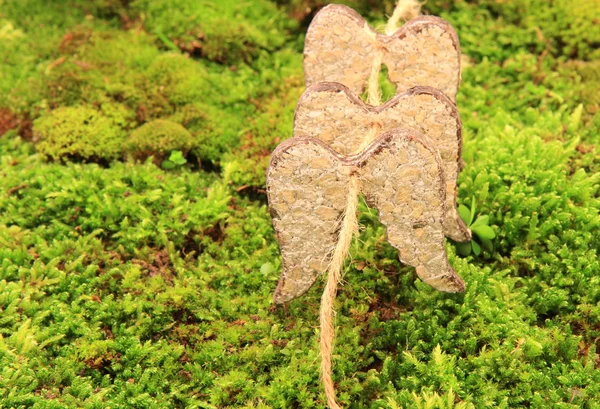 Small wings on grass — Stock Photo, Image