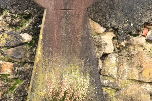 Tombstone with flowers — Stock Photo, Image