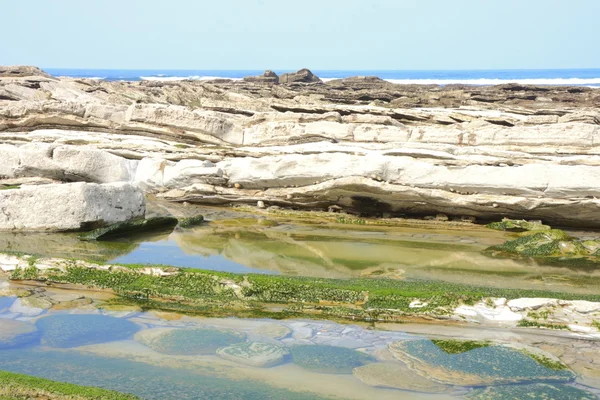 Bord de mer avec pierres — Photo