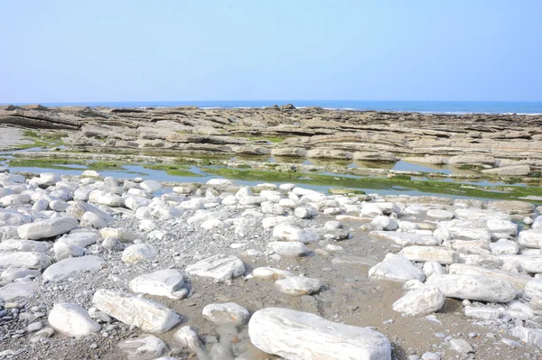 Seashore and white stones — Stock Photo, Image