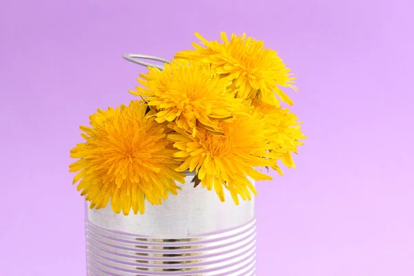 Lata de comida e flores — Fotografia de Stock