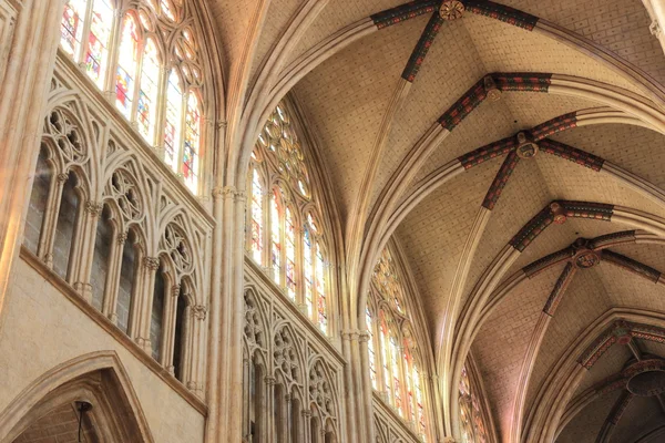 バヨンヌの大聖堂-フランス — ストック写真