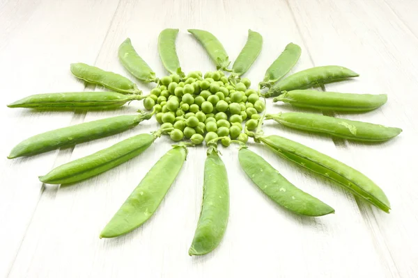 Flower of peas — Stock Photo, Image