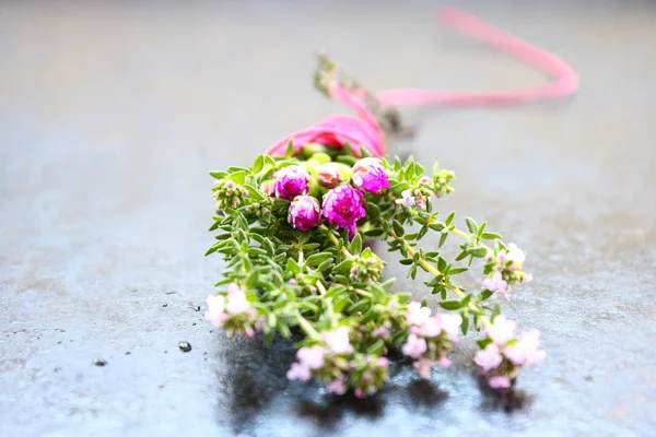 Flor rosa en bandeja — Foto de Stock