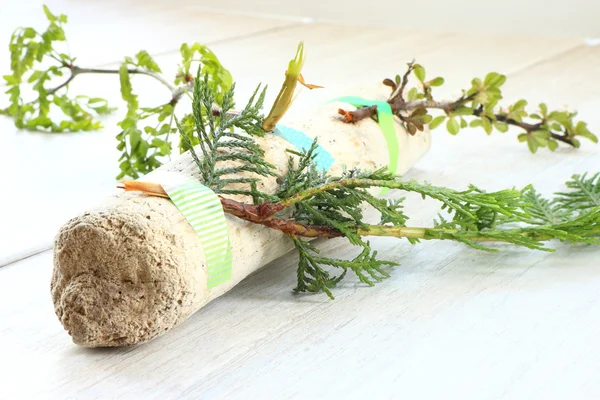 Log with branch — Stock Photo, Image