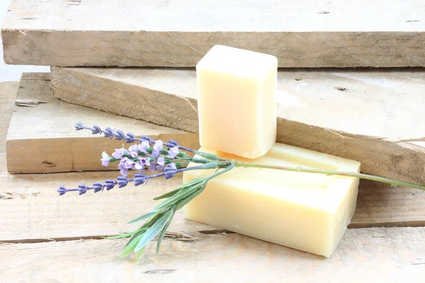 Bar of soap with lavender — Stock Photo, Image