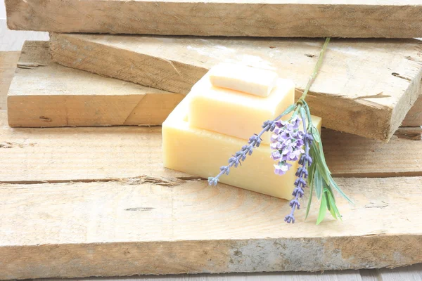 Lavanda y barra de jabón — Foto de Stock