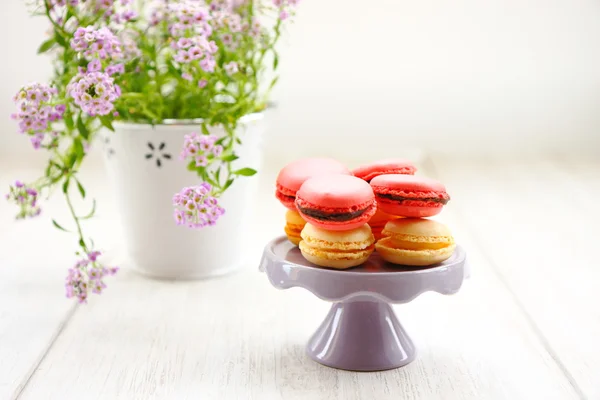 Macarons on base — Stock Photo, Image