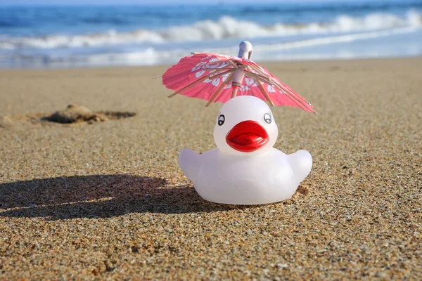 Canard blanc sur la plage avec parasol — Photo