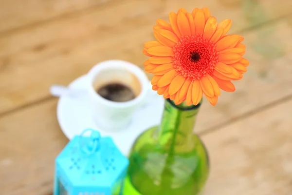 Oranje bloem en koffie — Stockfoto