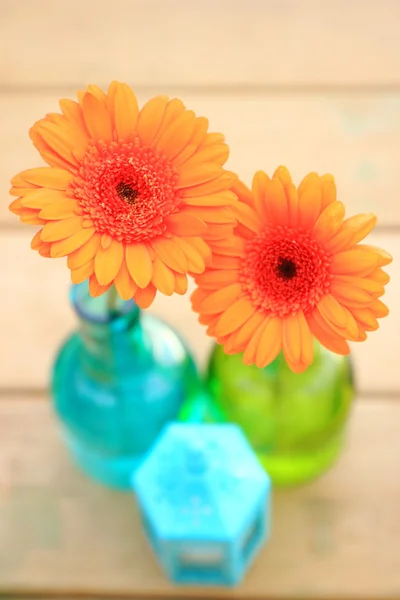 Flores en botellas — Foto de Stock