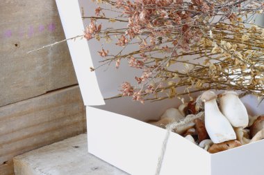 karton kutu ve mantar