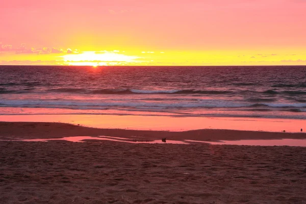 Pinkish sunset on the french shore — Stock Photo, Image