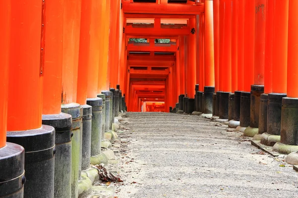 Toris v řádku kyoto — Stock fotografie