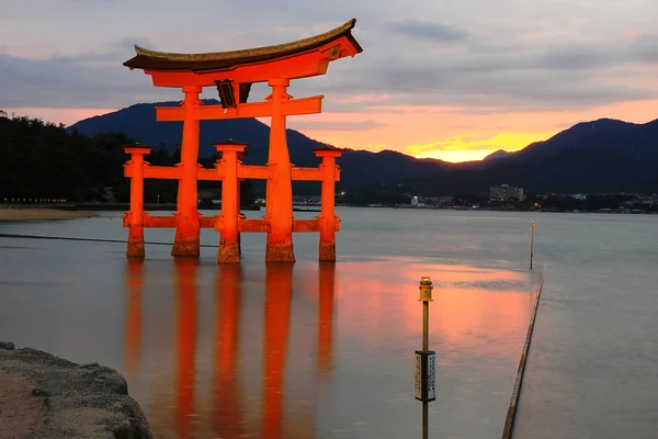 夕暮れの宮島の鳥 — ストック写真