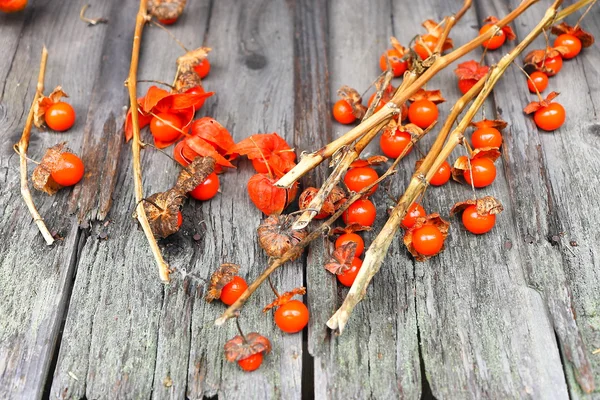 Pequeños tomates sobre madera — Foto de Stock