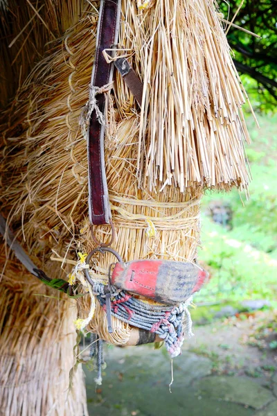 Cavalo de palha em Japão — Fotografia de Stock