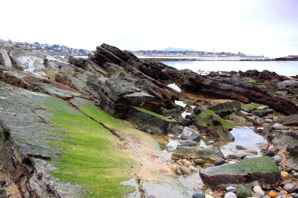 Côte française à marée basse — Photo